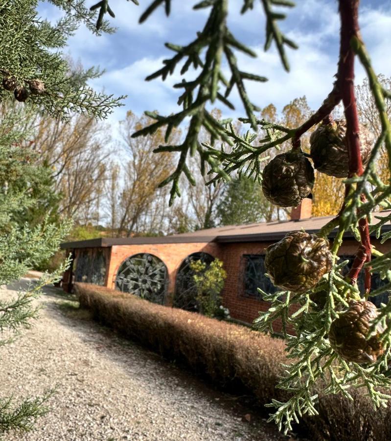 Finca Paraiso Rural El Burgo De Osma Exterior photo